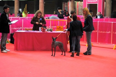 Sweety Punk - Girona-España.